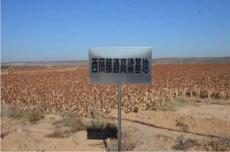西鳳酒：展現(xiàn)傳統(tǒng)釀造技藝<strong></p>
<p>西鳳酒
</strong>，卓越品質(zhì)續(xù)寫(xiě)華章:西鳳酒
