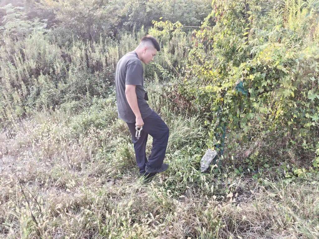 浙江一姑娘以奶茶為記號，竟然在草叢里藏了11萬現(xiàn)金！:西鳳酒
