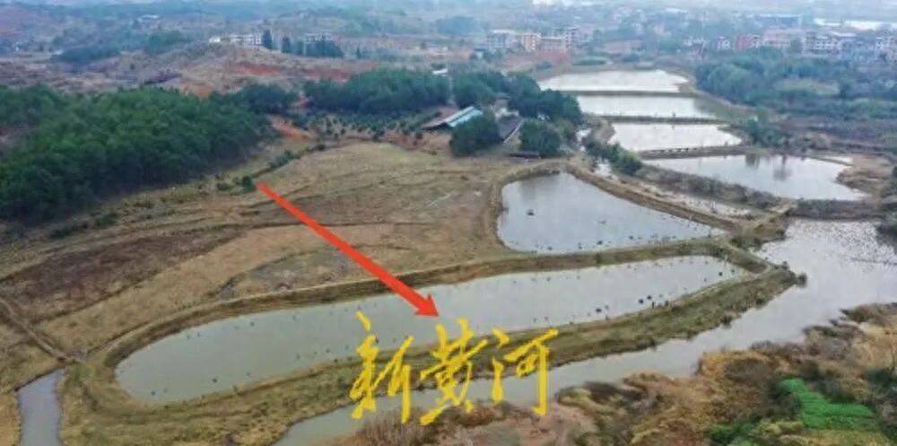 65歲農(nóng)婦荒塘養(yǎng)魚被判“非法占用農(nóng)地”：羈押10月后免刑，仍喊“我沒罪”:西鳳酒
