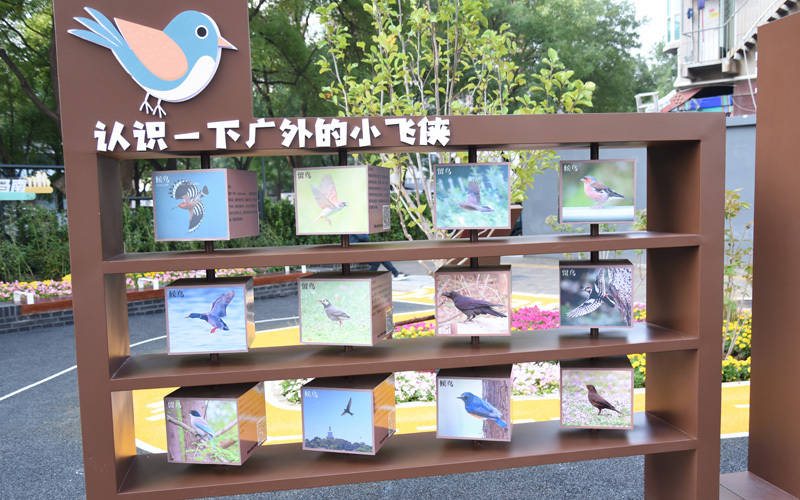 西城區(qū)廣外街道：“斷頭路”變身口袋公園<strong></p>
<p>西鳳酒
</strong>，裝滿(mǎn)民生“微幸?！?西鳳酒
