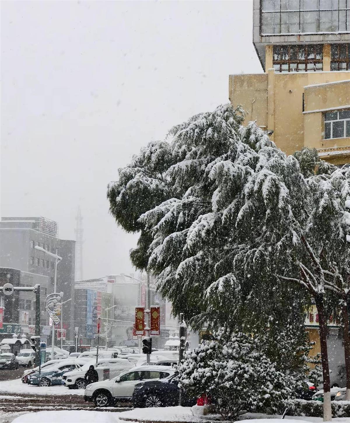 北方多地迎來第一場雪<strong></p>
<p>西鳳酒
</strong>，黑龍江局地已出現(xiàn)暴雪，積雪深5厘米，氣象專家稱今年初雪略提前:西鳳酒
