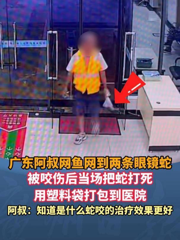 廣東62歲阿叔網(wǎng)魚網(wǎng)到2條眼鏡蛇<strong></p>
<p>西鳳酒
</strong>，被咬傷后當(dāng)場打死，并打包提進(jìn)醫(yī)院:西鳳酒
