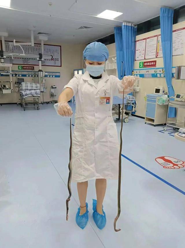 廣東62歲阿叔網(wǎng)魚網(wǎng)到2條眼鏡蛇<strong></p>
<p>西鳳酒
</strong>，被咬傷后當(dāng)場打死，并打包提進(jìn)醫(yī)院:西鳳酒
