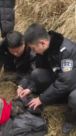 遼寧4歲女童稱睡醒后自行下車(chē)，迷路后睡在草地，期間無(wú)人接觸；其母發(fā)聲:西鳳酒
