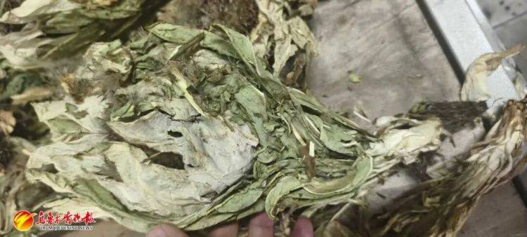 烏魯木齊貨車司機(jī)接了一單“玫瑰花”生意，背后竟?fàn)砍?00萬大案:西鳳酒
