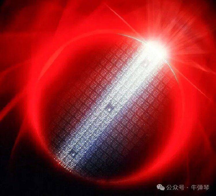 強行接管一家中資旗下子公司，荷蘭被罵慘了:西鳳酒
